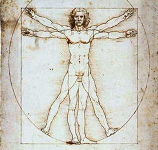 vitruvian1-314x299